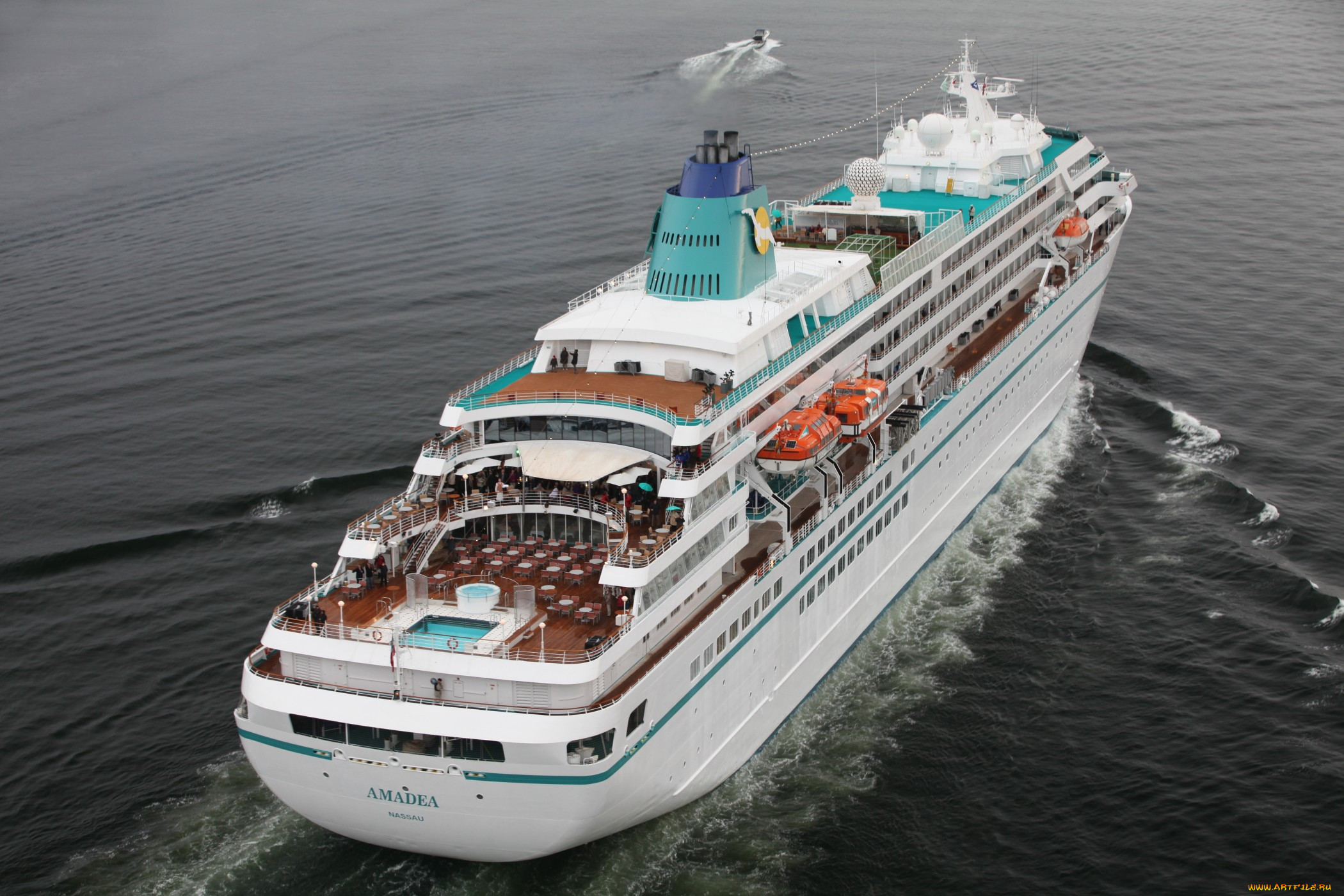 amadea, , , , 